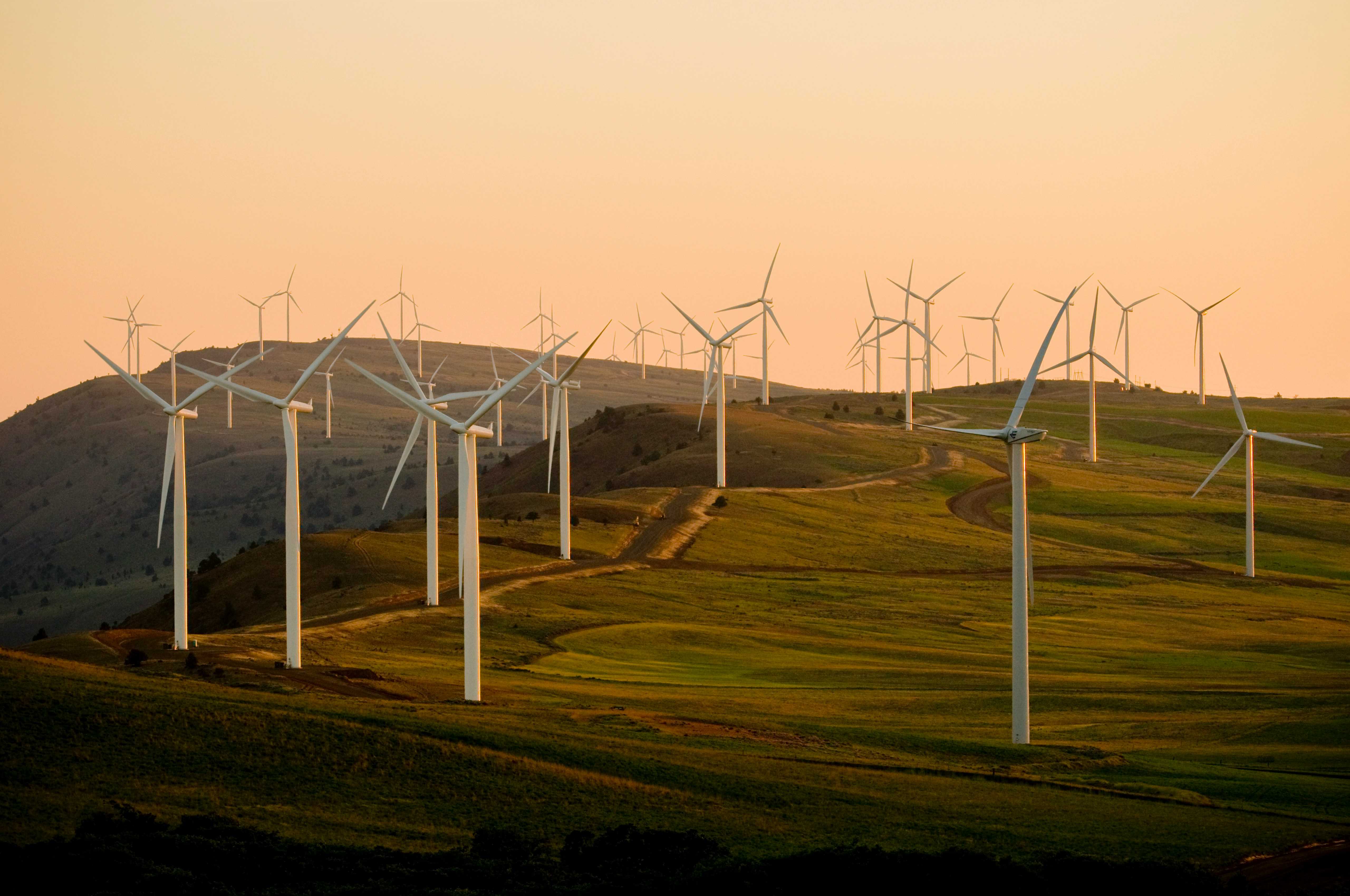 Renewable Energy & Power